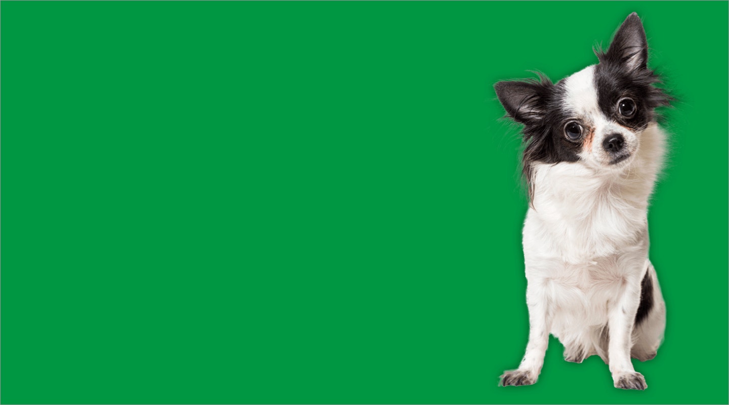 Homepage RTB adult small