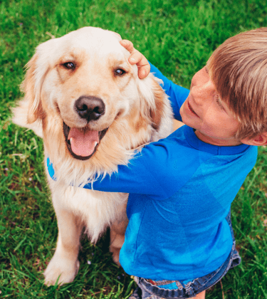 Iams dog outlet breed quiz