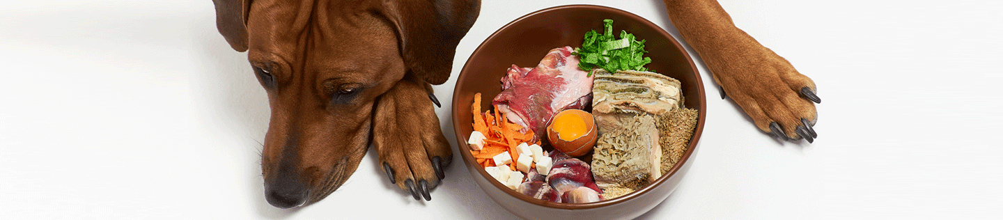 3 reasons why animal-based protein might be better for your dog​