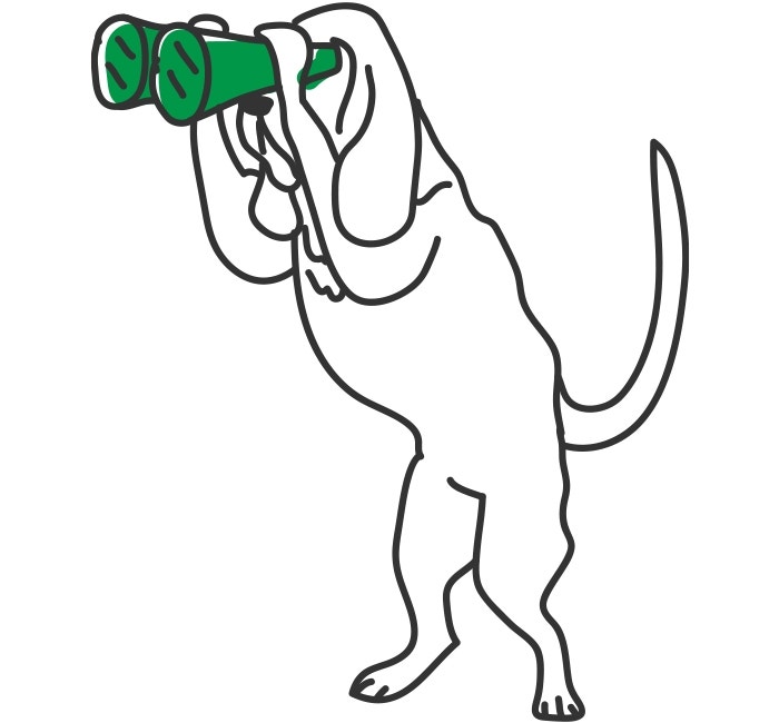 How Much Exercise Does My Dog Need?