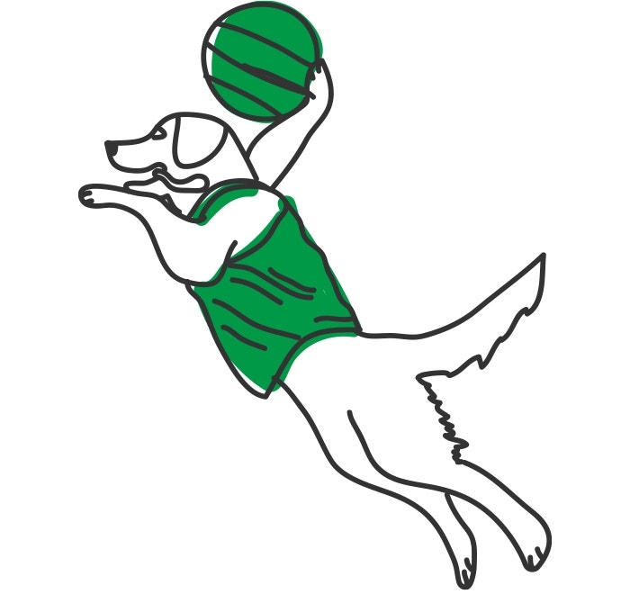 How Much Exercise Does My Dog Need?