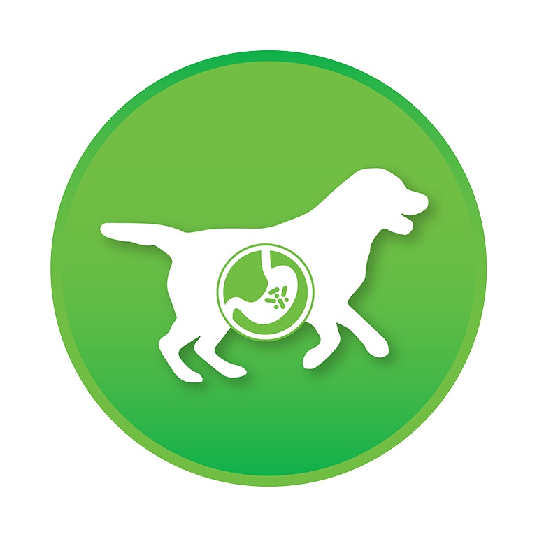 <p><strong>REDUCES AMMONIA LEVEL &amp; FAECAL ODOUR</strong><br>Bacillus Subtilis helps degrade organic matter in the feces, reduce ammonia production and fecal odor.</p>