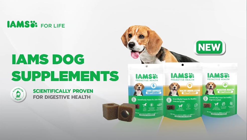 digestive video cover