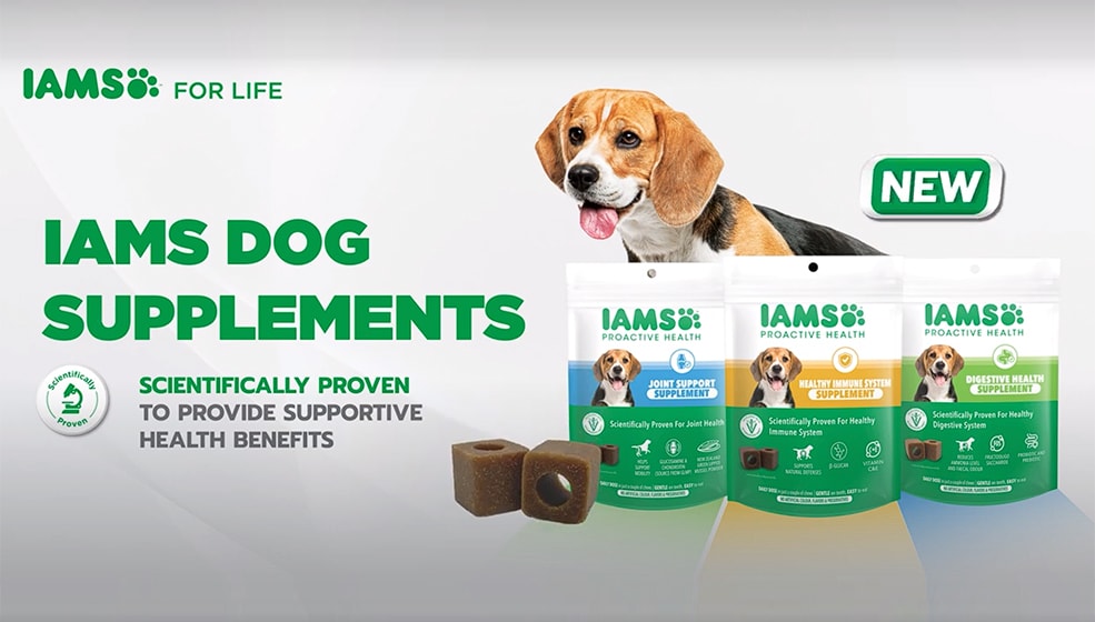 dog supplements video cover