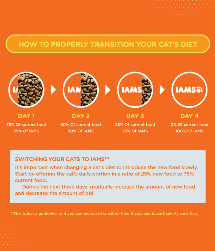 HOW TO PROPERLY TRANSITION YOUR CAT’S DIET