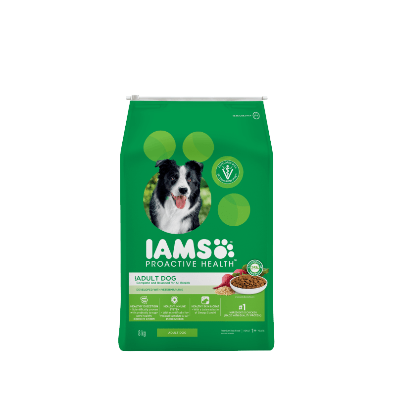Iams dog food offers deals