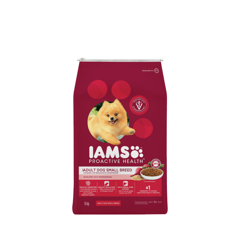 Iams small breed dog food on sale