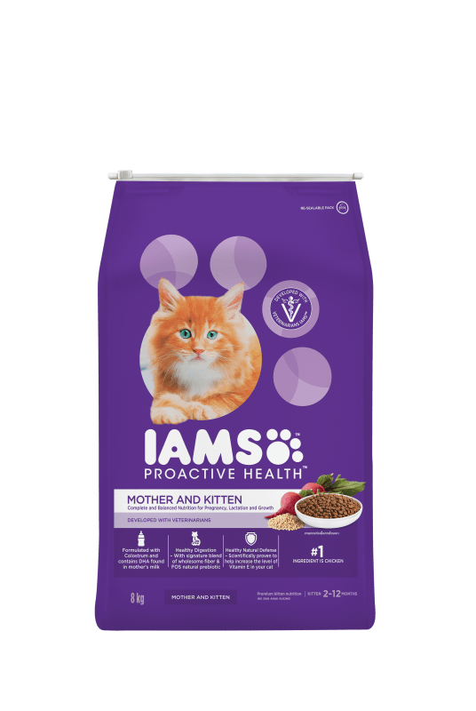 Iams cat food kitten sales
