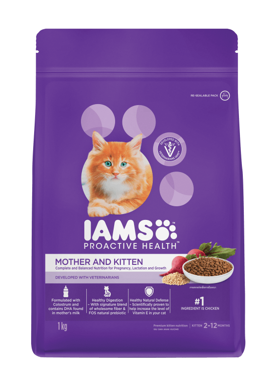 Iams pet food cheap
