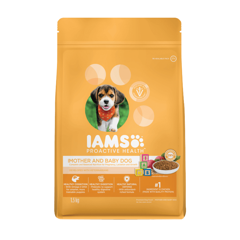 Best food for mother dog hot sale