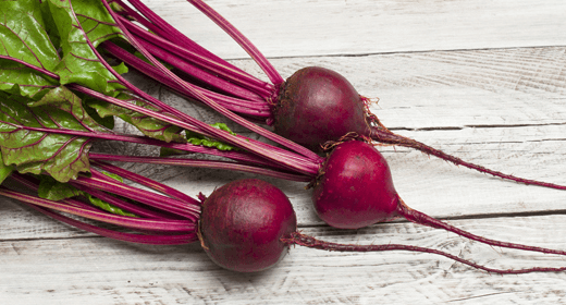 Why Beet Pulp Is Good for Dogs Dog Health Tips IAMS