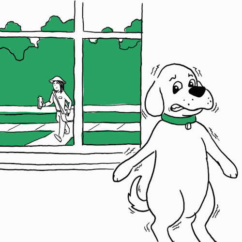 shake fr dogs